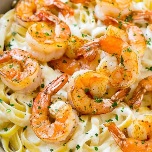 SHRIM ALFREDO